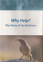 Why Help: The Story of Babblers    cover image