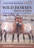 Wild Horses Return to China cover image